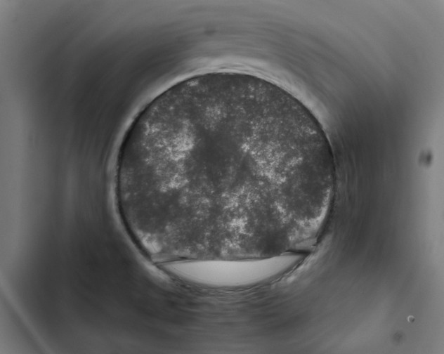 X0000102511525200809051357