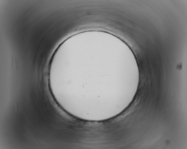 X0000102511526200809051357