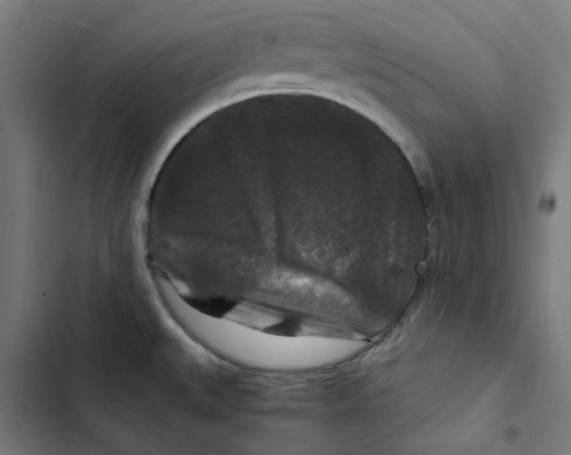 X0000102511527200809051357