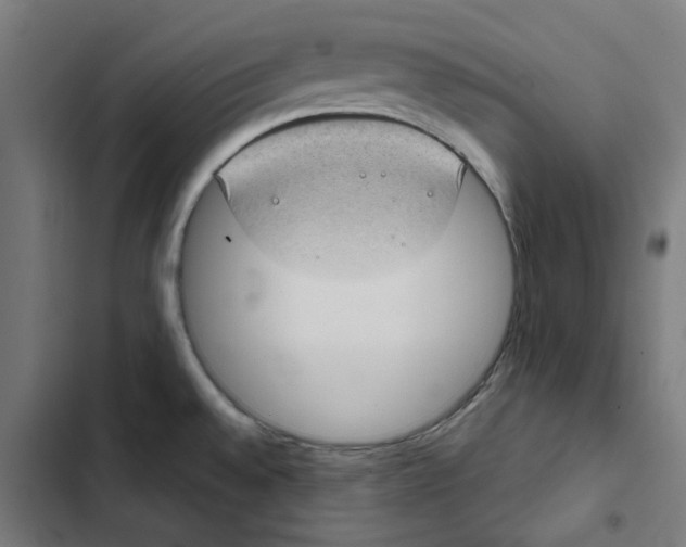 X0000102511528200809051357