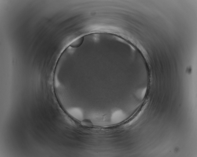 X0000102511529200809051357