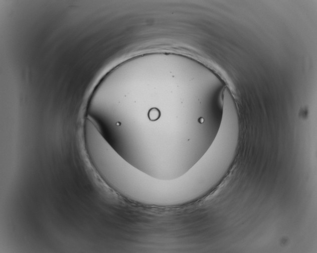 X0000102511530200809051358