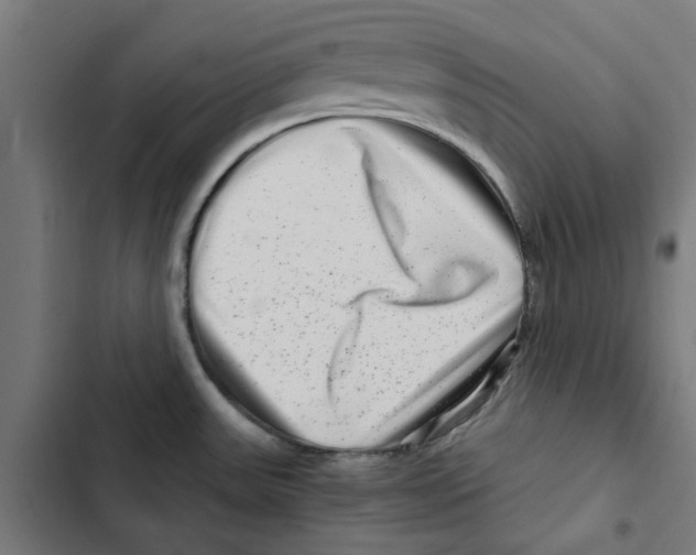 X0000102511531200809051358