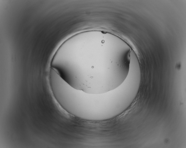 X0000102511532200809051358