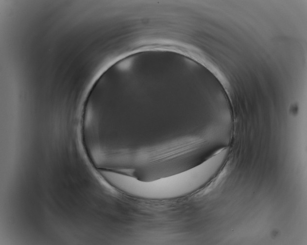 X0000102511533200809051358