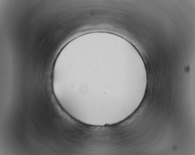 X0000102511534200809051358
