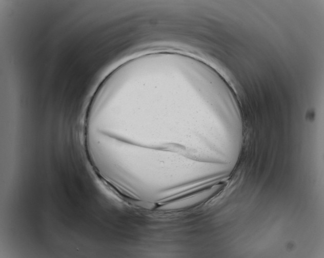 X0000102511535200809051358