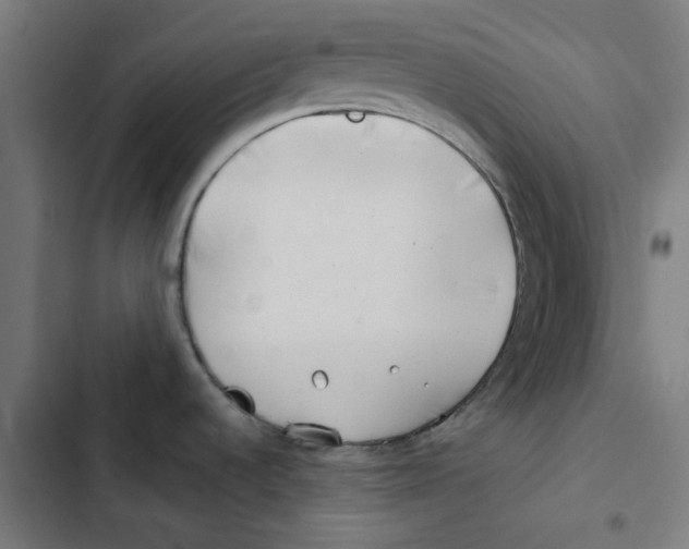 X0000102511536200809051358