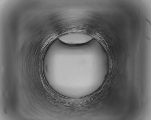 X0000102520001200808081040