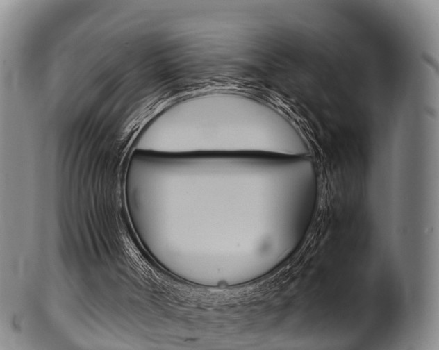 X0000102520002200808081040