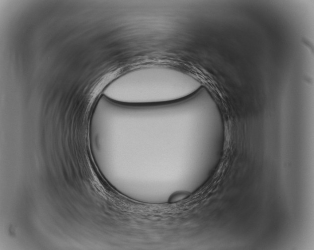 X0000102520003200808081040