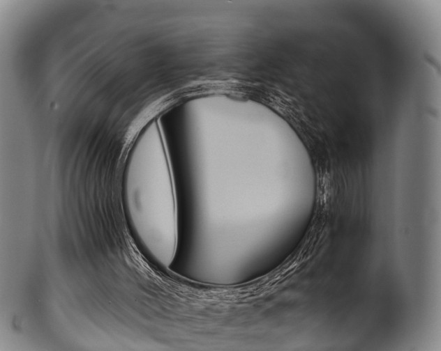 X0000102520004200808081040