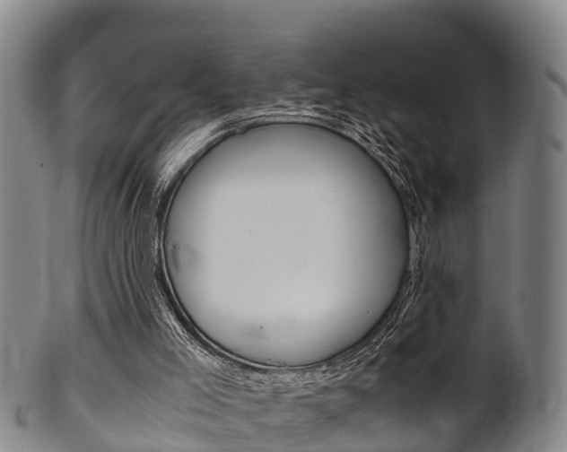 X0000102520005200808081040