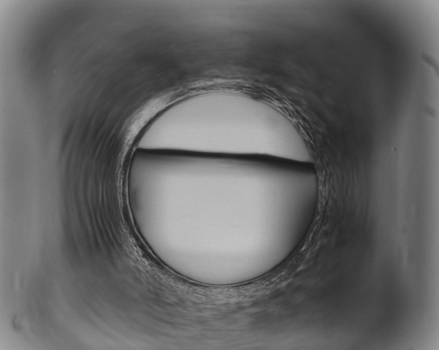 X0000102520006200808081040