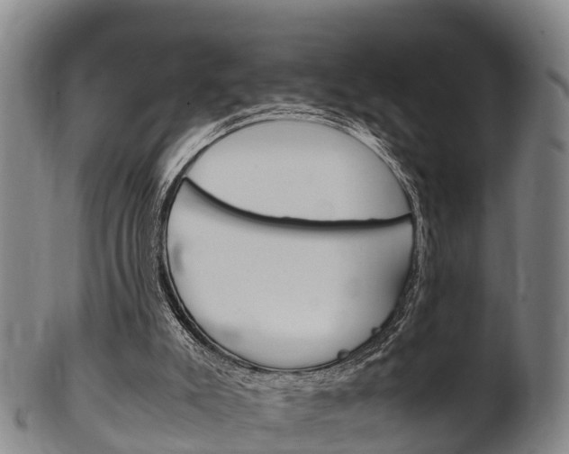 X0000102520007200808081040