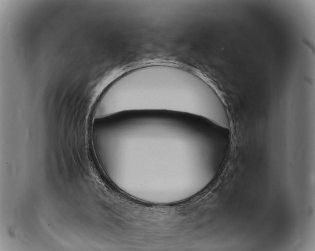 X0000102520008200808081040