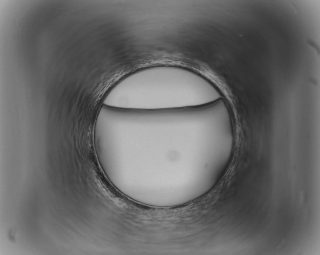 X0000102520009200808081040