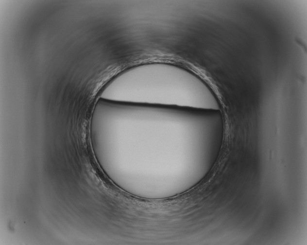 X0000102520010200808081040