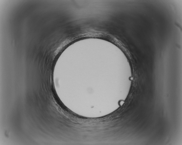 X0000102520011200808081040