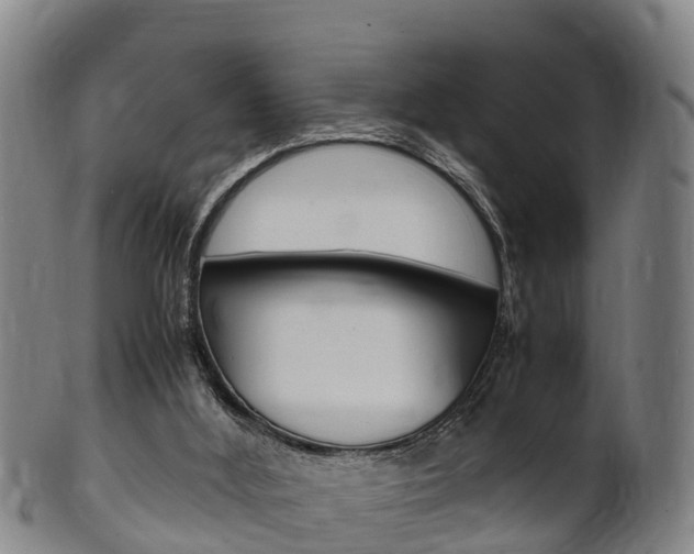 X0000102520012200808081040