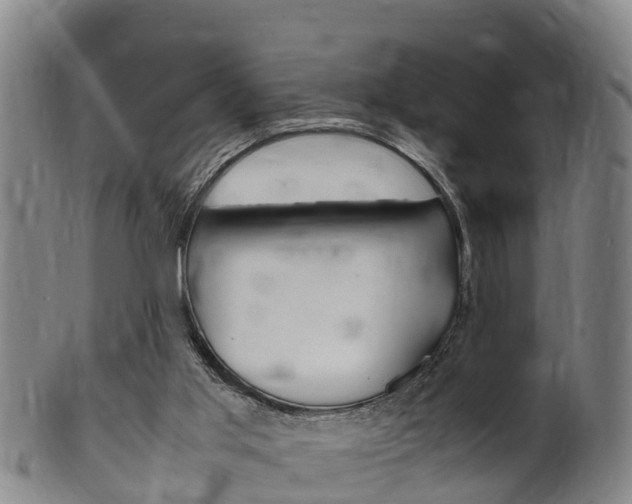 X0000102520013200808081040