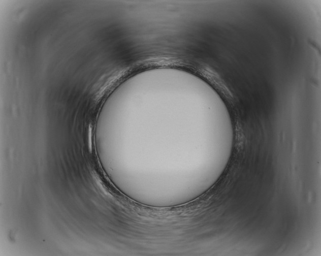 X0000102520014200808081040