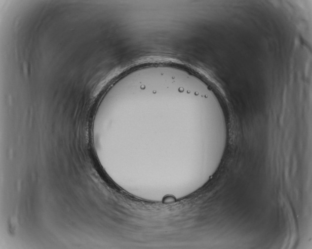 X0000102520015200808081040