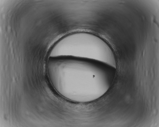 X0000102520016200808081040