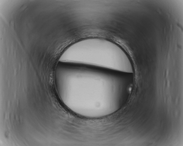 X0000102520017200808081040