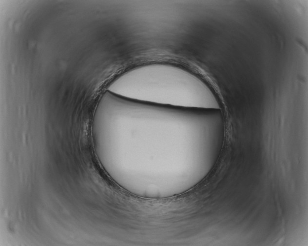 X0000102520018200808081040