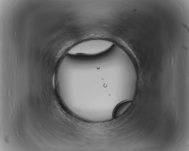 X0000102520019200808081040