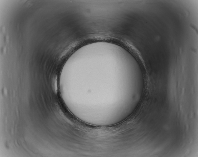 X0000102520020200808081040