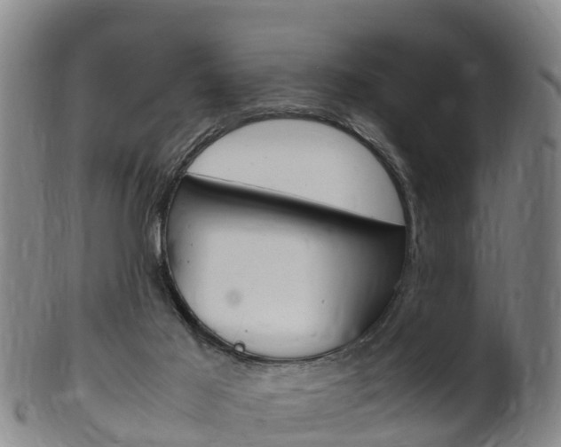 X0000102520021200808081040