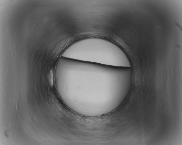 X0000102520022200808081040