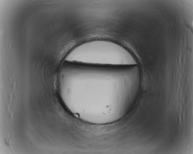 X0000102520023200808081040