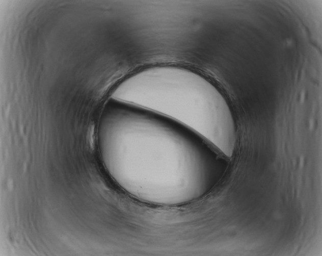 X0000102520024200808081040