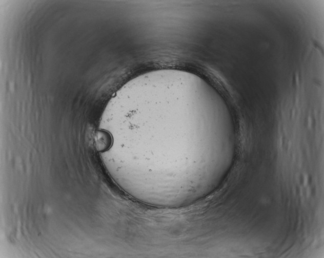 X0000102520025200808081040