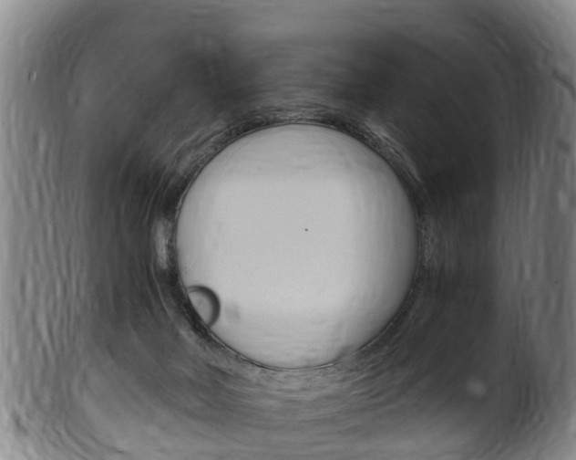 X0000102520026200808081040