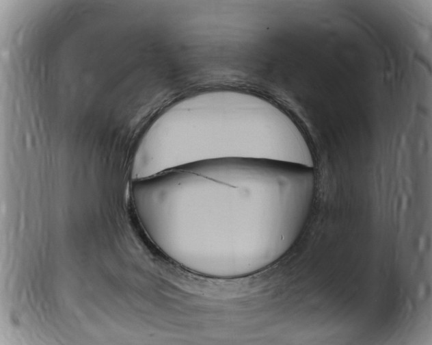 X0000102520027200808081040