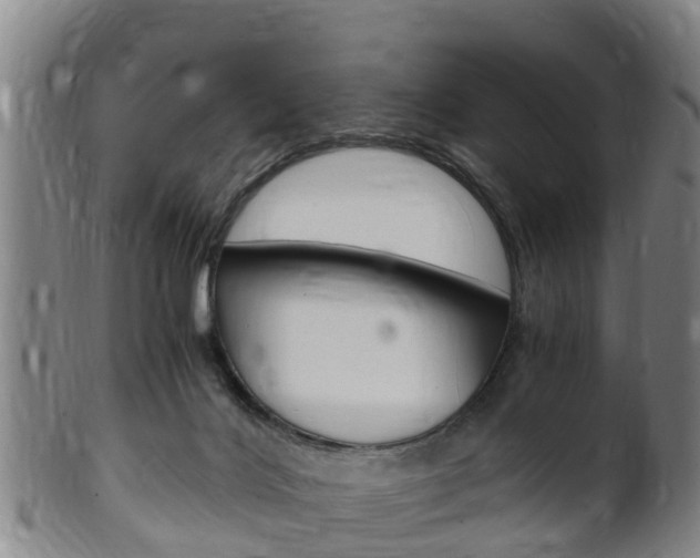 X0000102520028200808081040