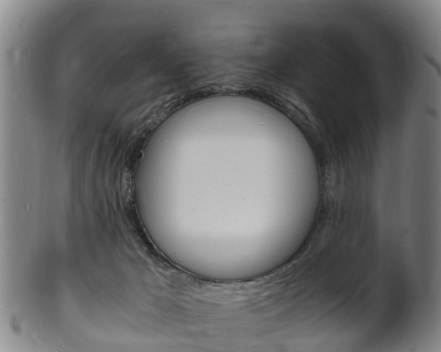 X0000102520029200808081040