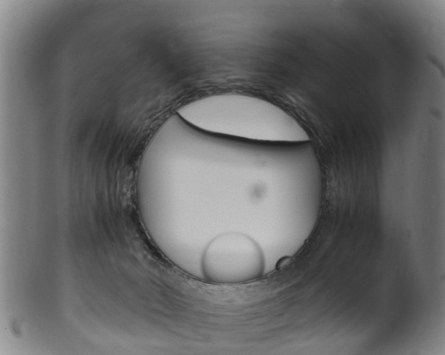 X0000102520030200808081040