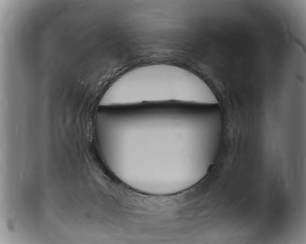 X0000102520031200808081040