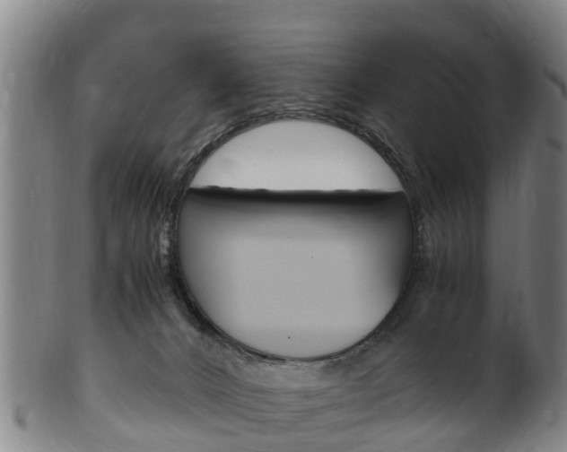 X0000102520032200808081040