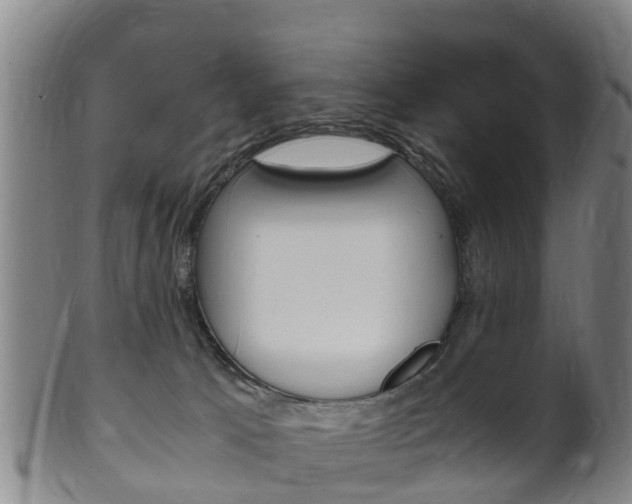 X0000102520033200808081040