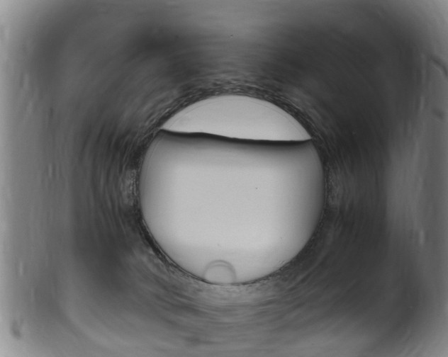 X0000102520034200808081040