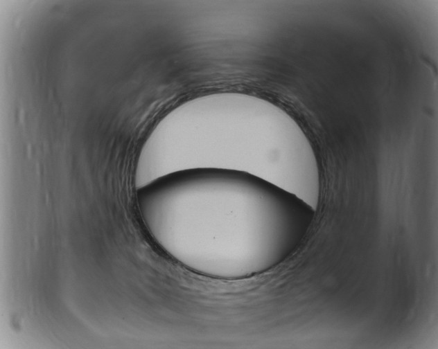 X0000102520035200808081040