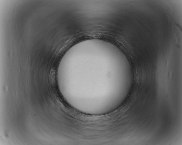 X0000102520036200808081040