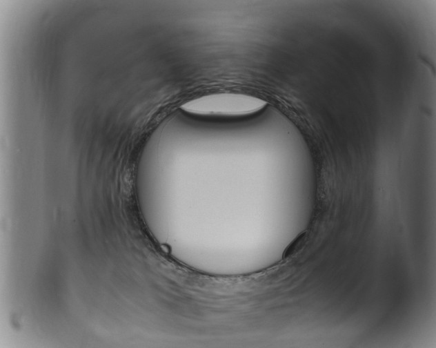 X0000102520037200808081040