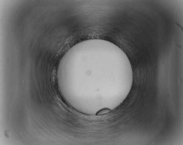 X0000102520038200808081040